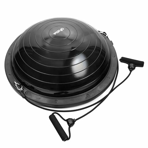 FIZYO Balance Trainer